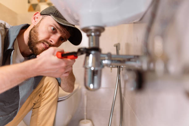 Best Toilet Repair Services  in Oak Grove, MN