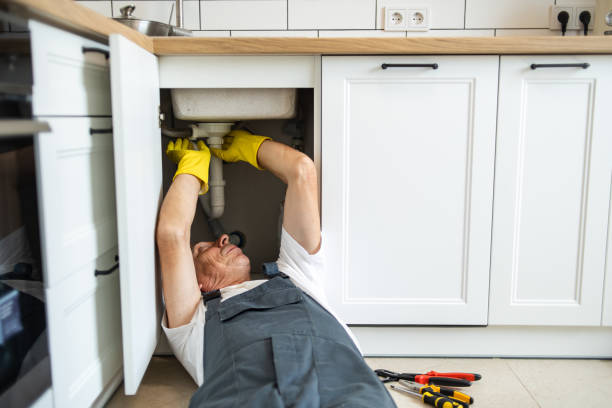 Best Plumbing Services Near Me  in Oak Grove, MN