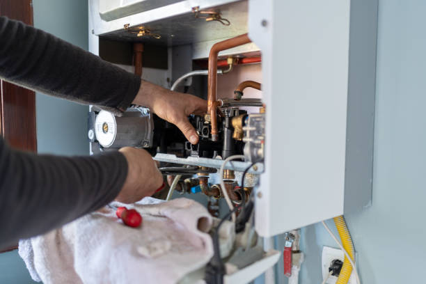 Best Faucet Repair  in Oak Grove, MN